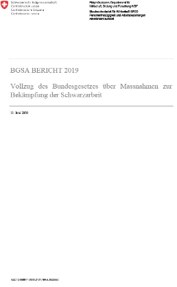 BGSA-Bericht 2019-1